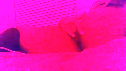 She's first, she is the perfectot puffynetworkc grasps